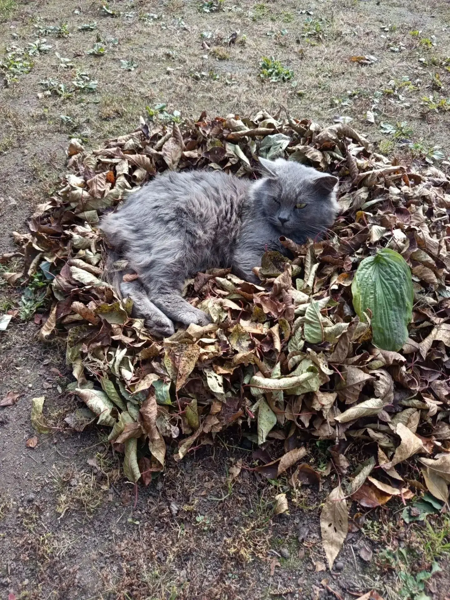🍁Октябрь: "Время