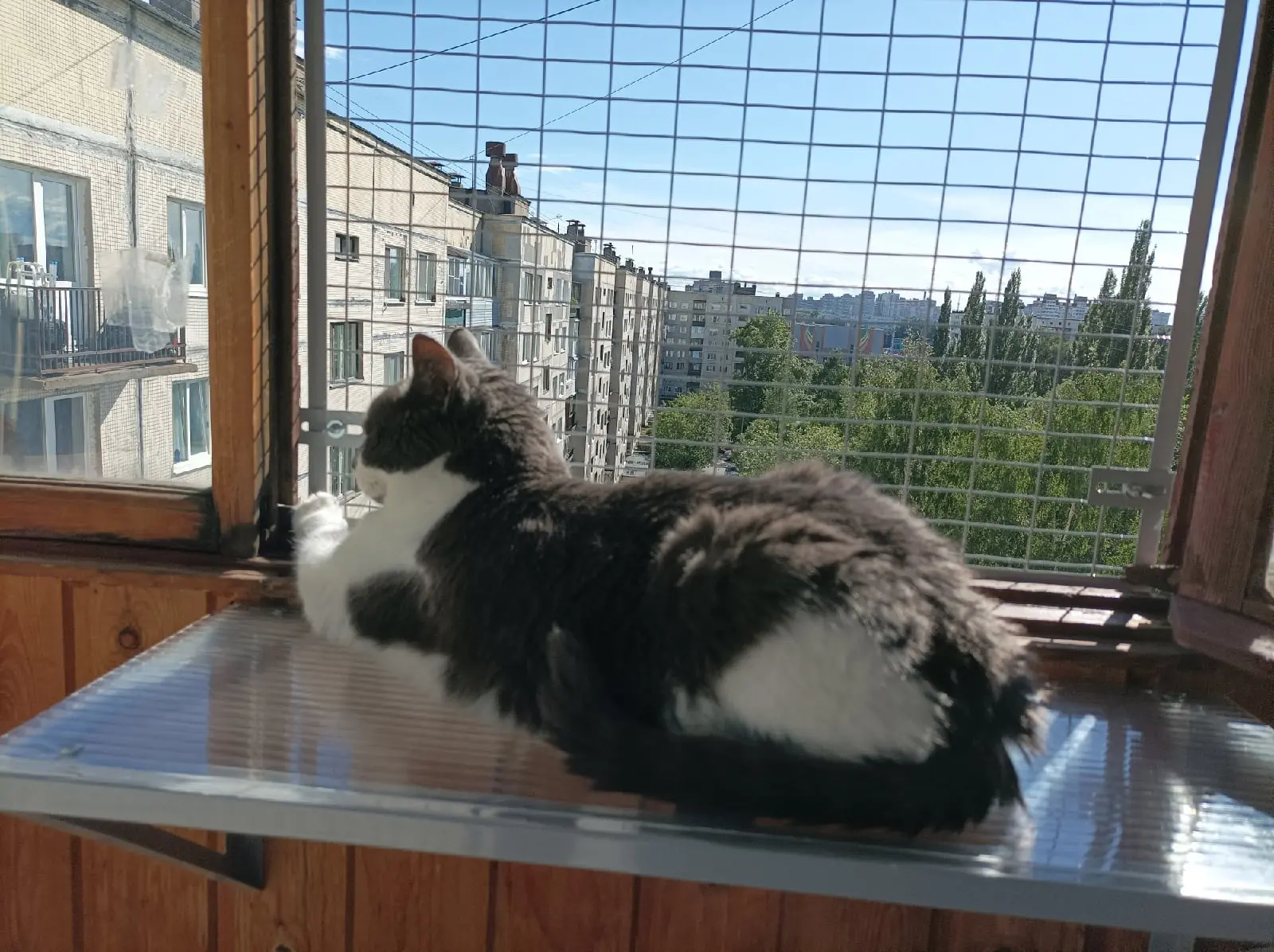Полка-подоконник для котика 🐾