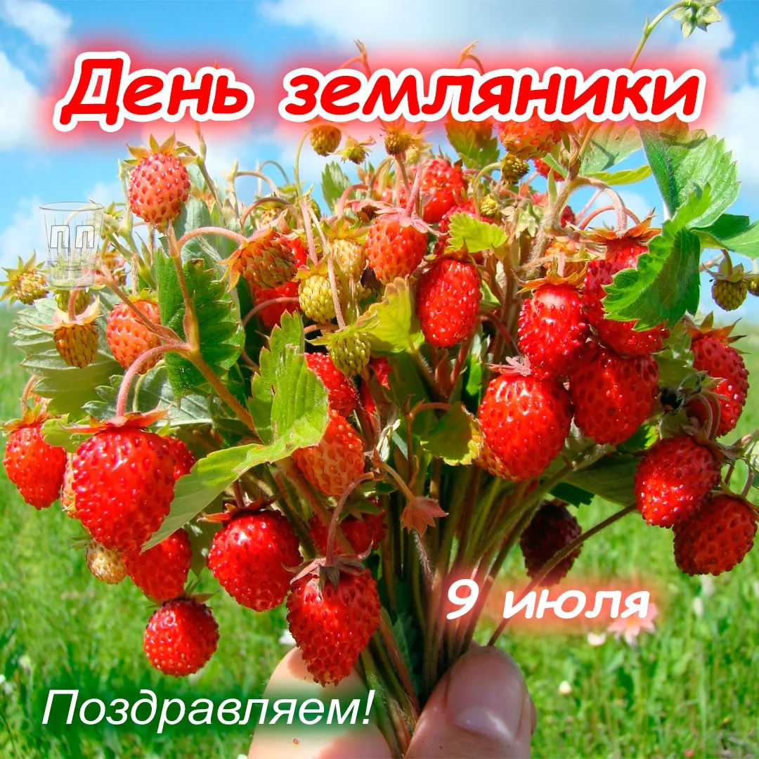 9 июля отмечается необычный и очень вкусный праздник — День земляники! Эта маленькая кр...