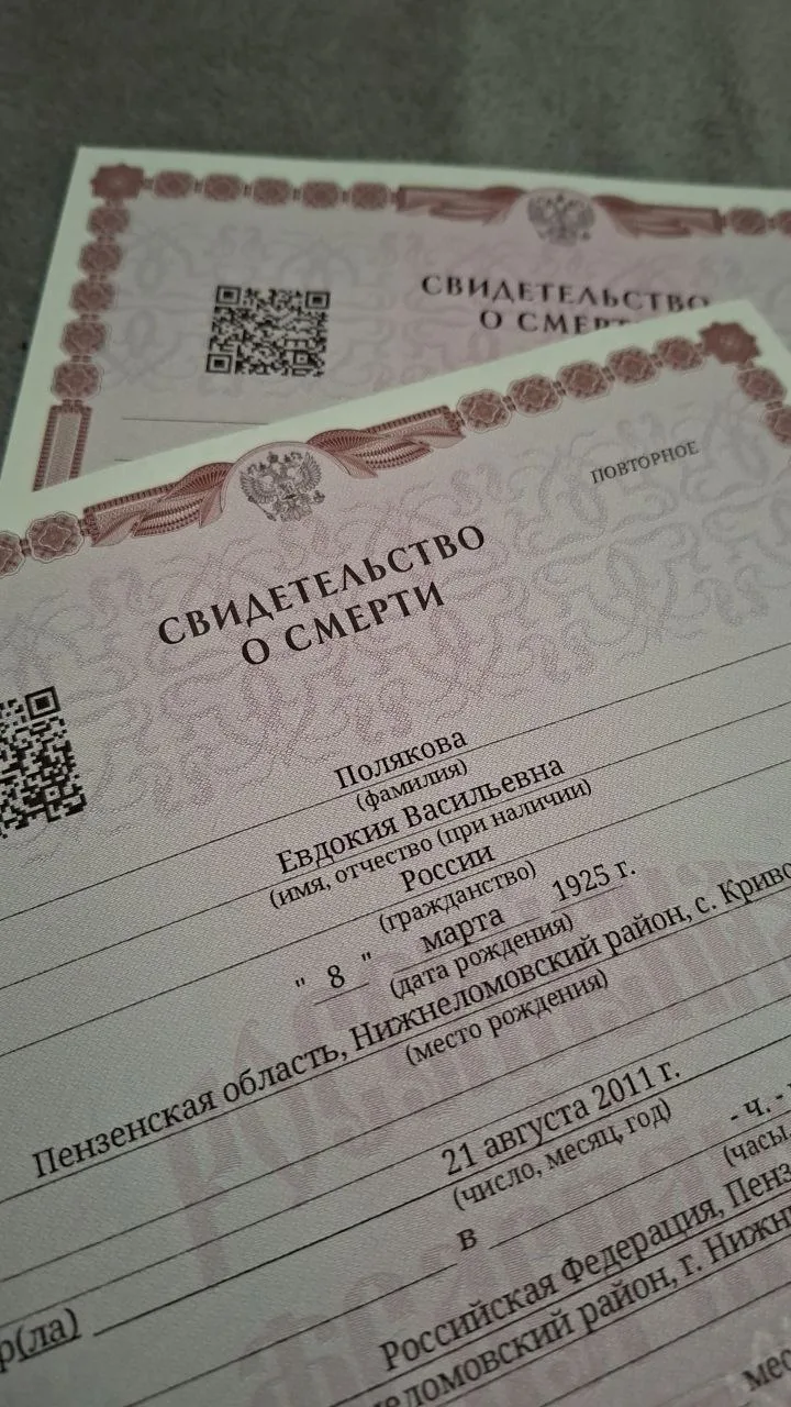 Запросы в СФР

Вчера снова была в ЗАГСе. В пятый раз за последние 3 месяца. 

На этот раз сделала ду