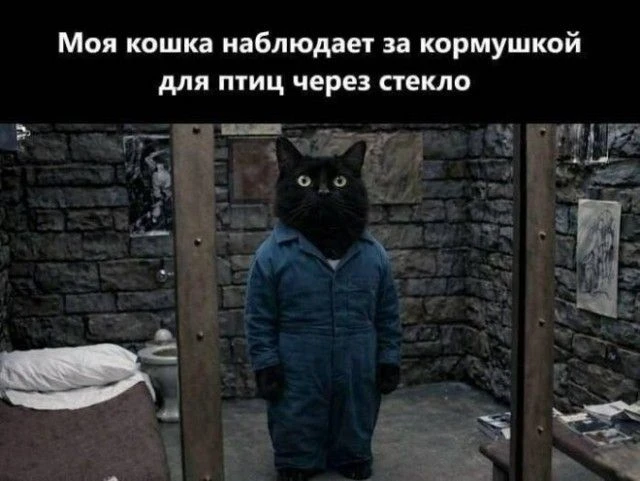 Постукивая зубками 🧐