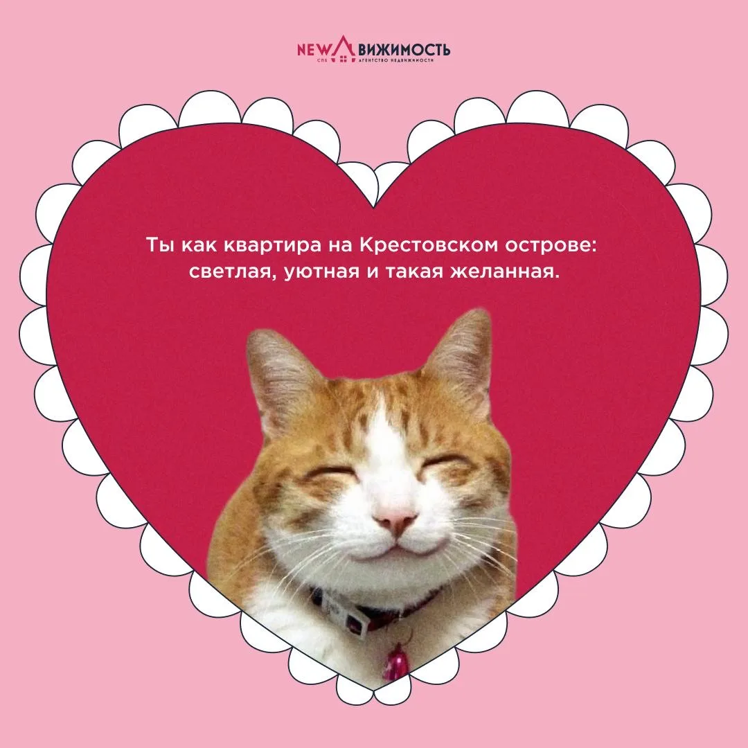 💓 Рядом с вами уже живет ваш самый важный человек  Многие не признают 14 февраля как праздник всех в