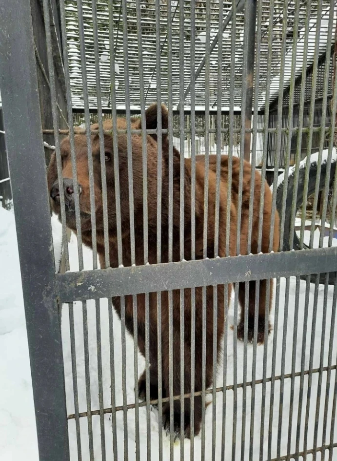 Степану — 25! Легендарный юбилей в «Шапшинском урочище»! 🐻🎂