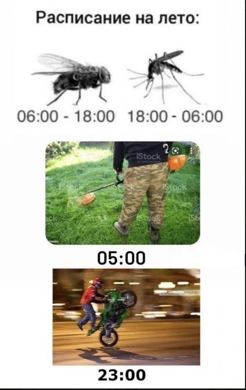 Лето! И этим всё сказано.