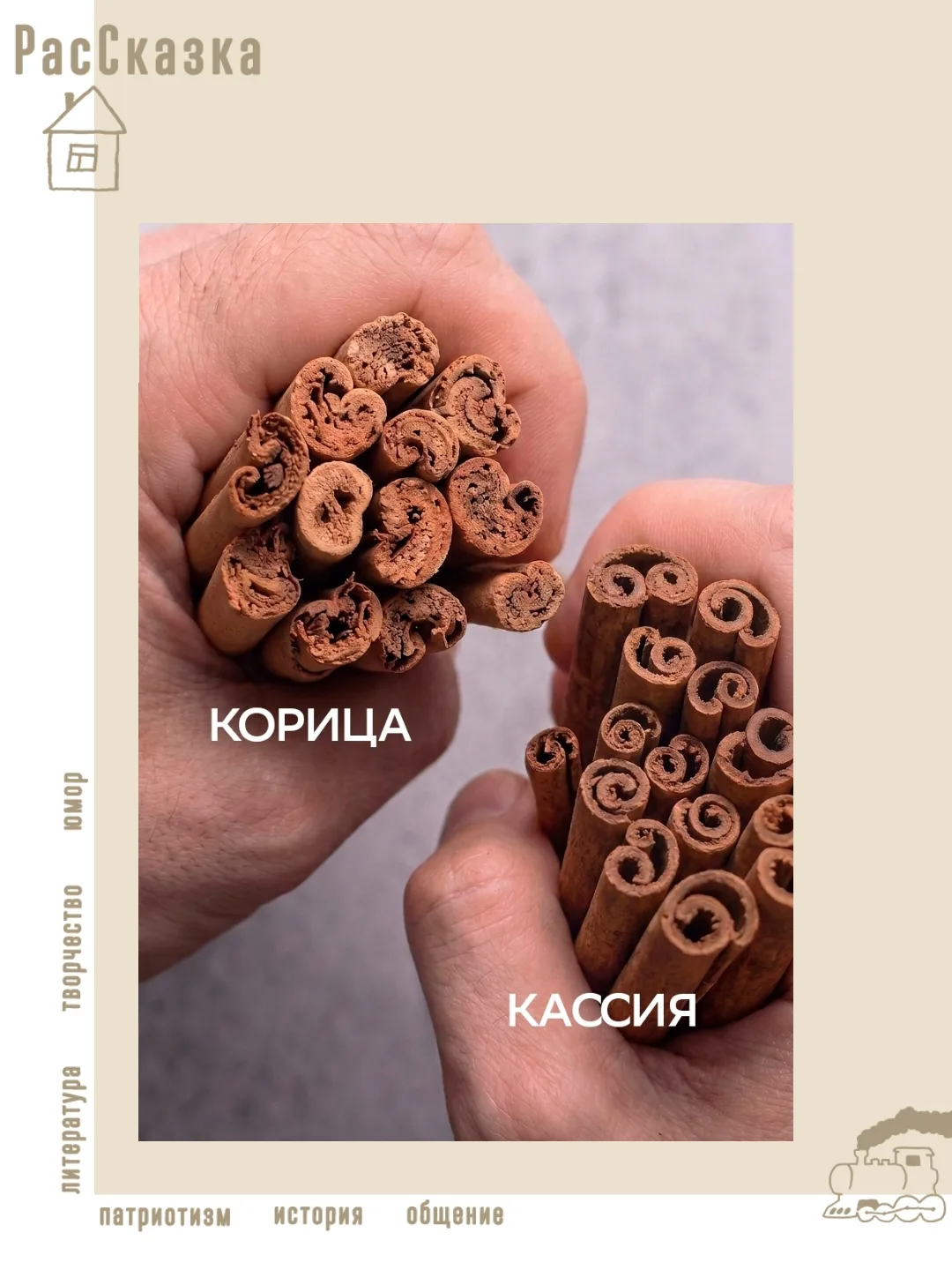 📌 Проверьте свою полку со специями: скорее всего, корицы там нет.