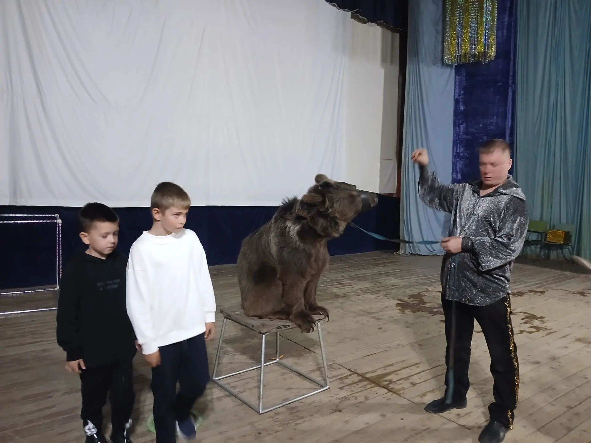 🎪 Настоящий праздник приехал сегодня в Заливский СДК! Дрессированные животные — медвед...