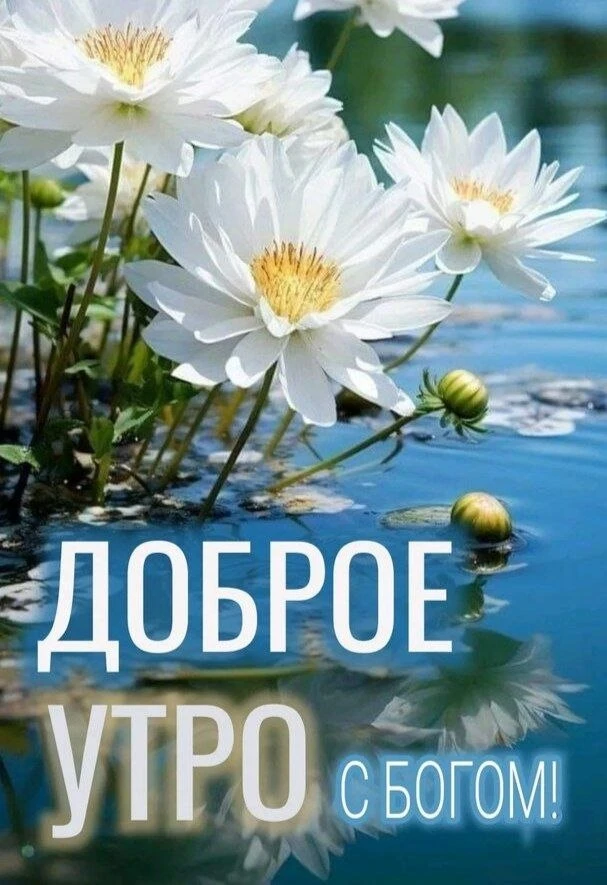 🩵🌼🩵🌼🩵🌼🩵🌼🩵