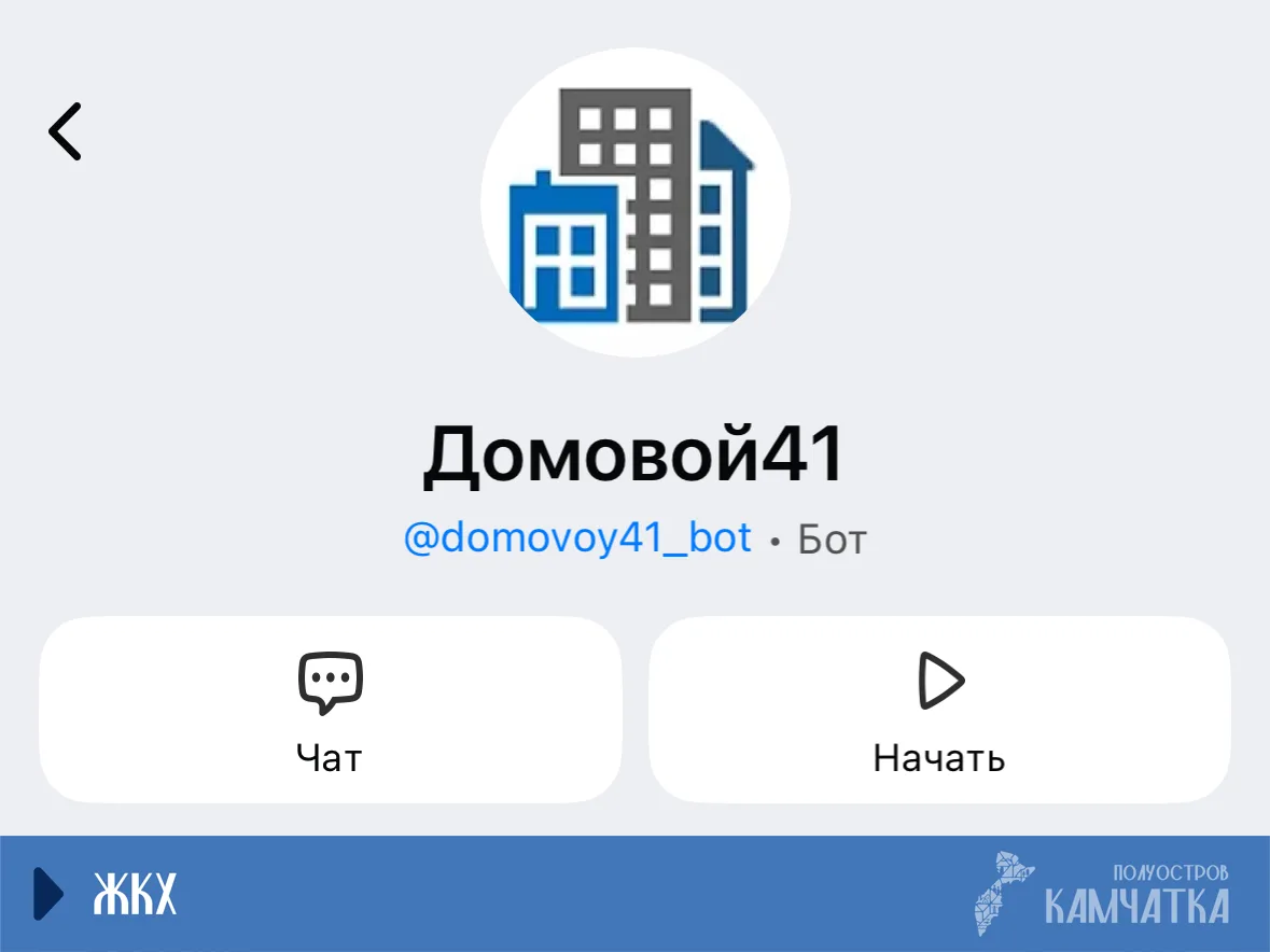 «Домовой 41»: новый чат-бот найдёт ваш домовой чат за пару кликов