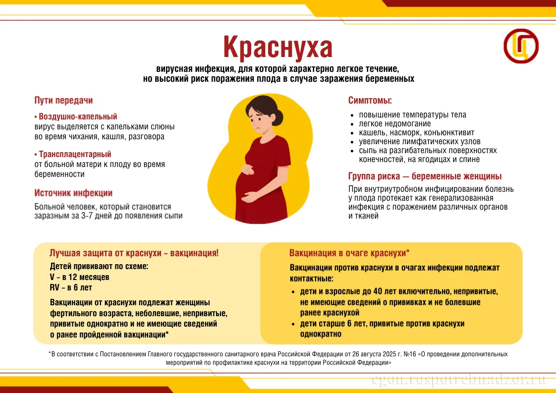 Одна из "детских" болезней - краснуха - очень опасна, если ею заболевает беременная женщина: это мож