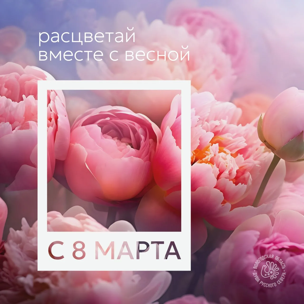 С Международным женским днём!