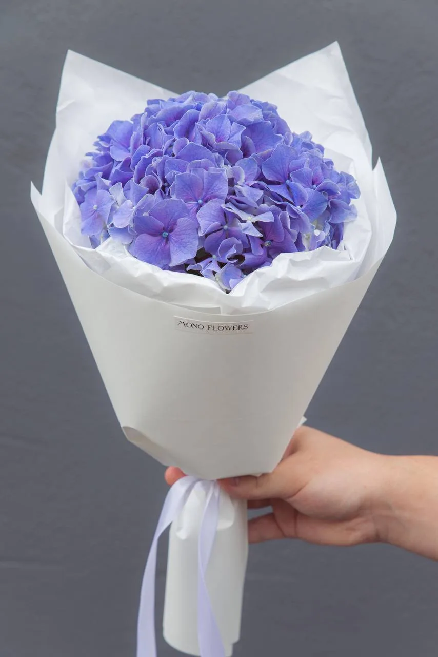 Фиолетовая гортензии 💜