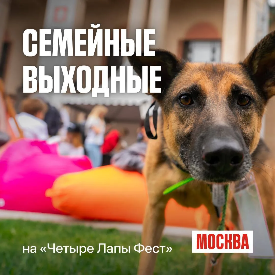 🐾 На семейный квест выходят и четвероногие участники!