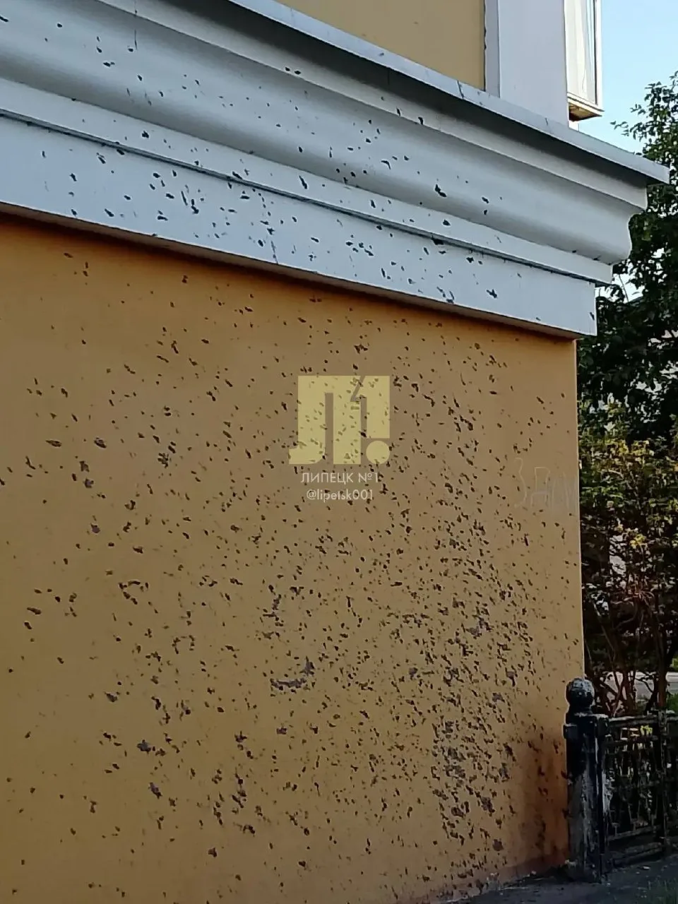 На грязную стену дома на Ушинского, 3, обратил внимание читатель:

«Уже 3 месяца на доме очень много