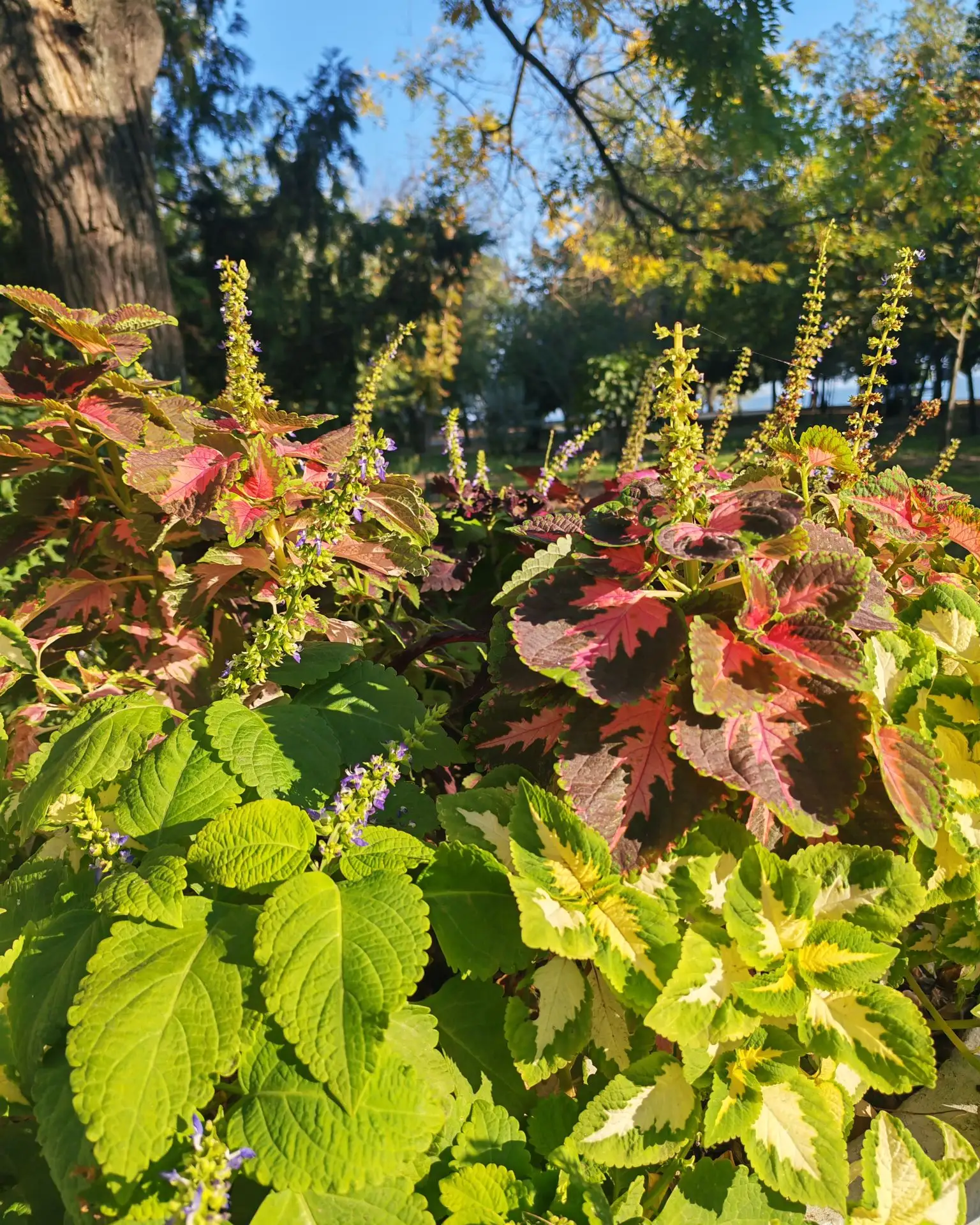Какие они сочные и яркие😍