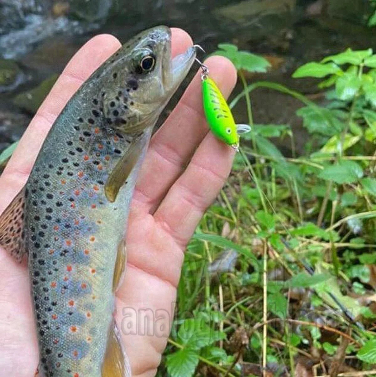 Копия - Rapala CountDown CD01