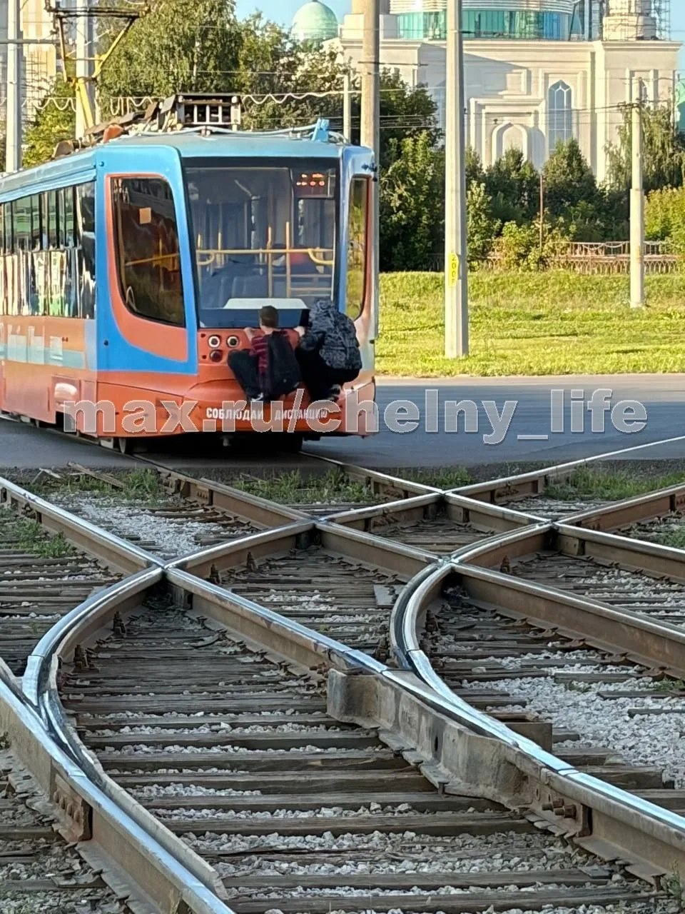 Выложите анонимно,пожалуйста.Чьи чуда в перьях 29.08 в 17.00 на остановке 11 комплекс б...