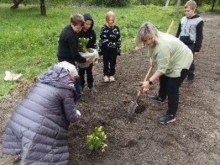 В прошлом году мы все вместе взялись за большое и важное дело? Наши ученики, учителя и ...
