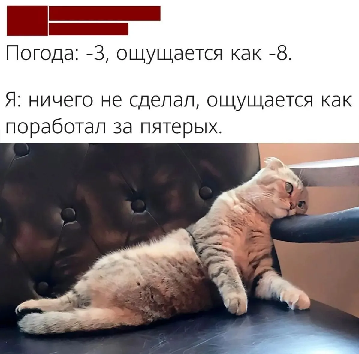 ____________________
Помощь со всеми видами работ

👉Заказать помощь в MAX
👉Заказать помощь в Teleg