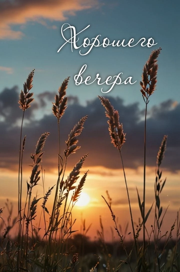 #хорошеговечера