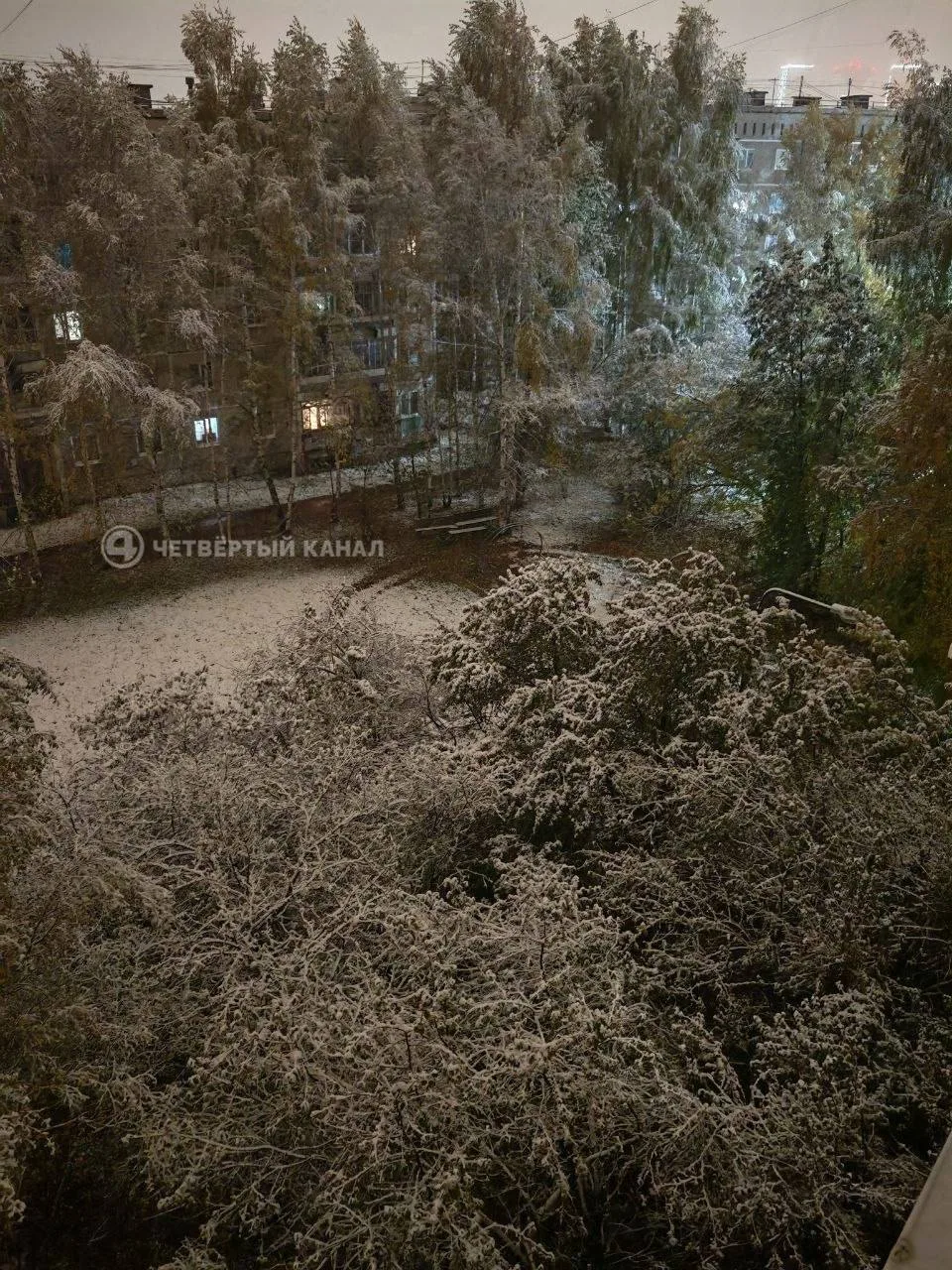 Снежный понедельник встречают екатеринбуржцы