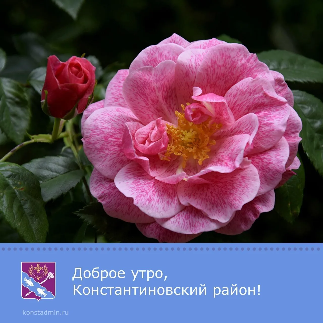 Доброе утро, уважаемые жители Константиновского района!

Пусть новый день откроет дверь в мир неизуч