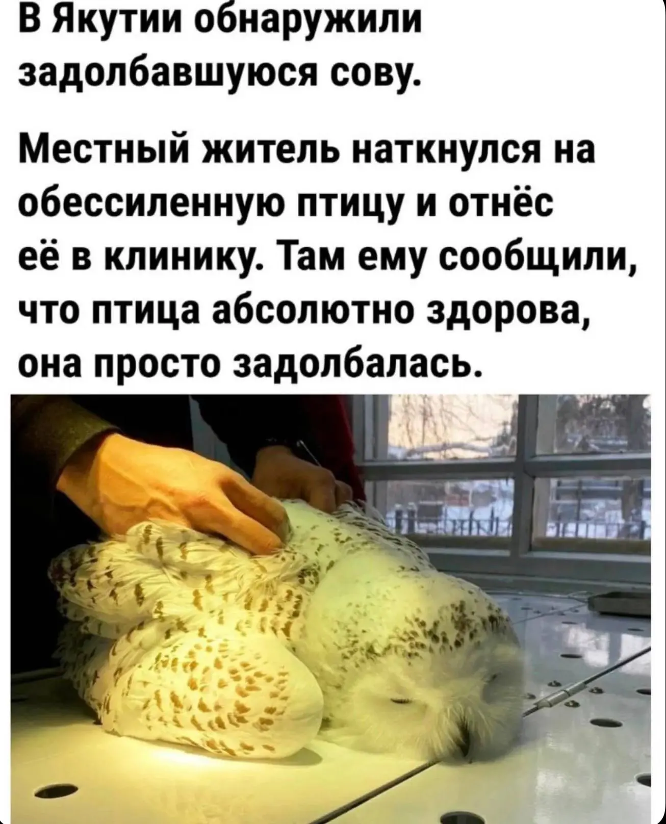 Добрых снов...
