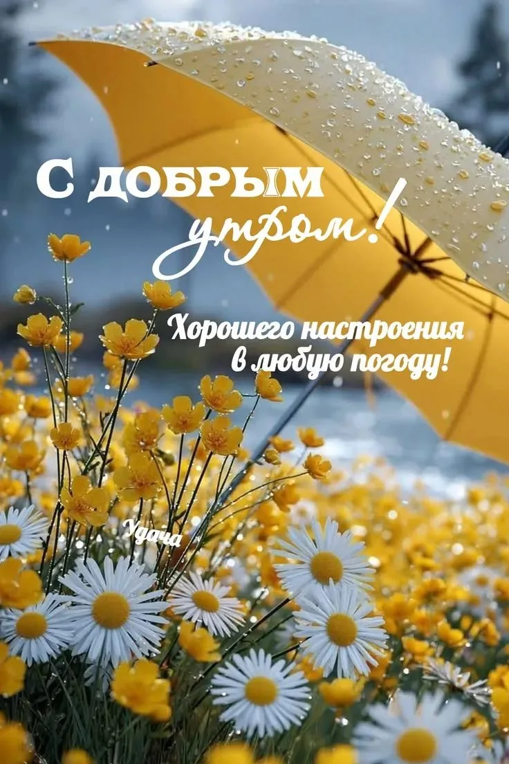 Доброе утро и хорошего дня всем 👋
