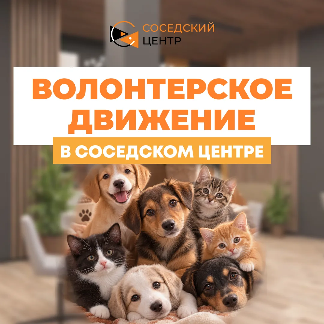 🐾 «Соседский центр» продолжает добрые дела!