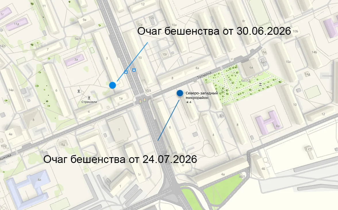 В Красноярске уже второй раз подряд ввели карантин по бешенству, и оба очага оказались ...