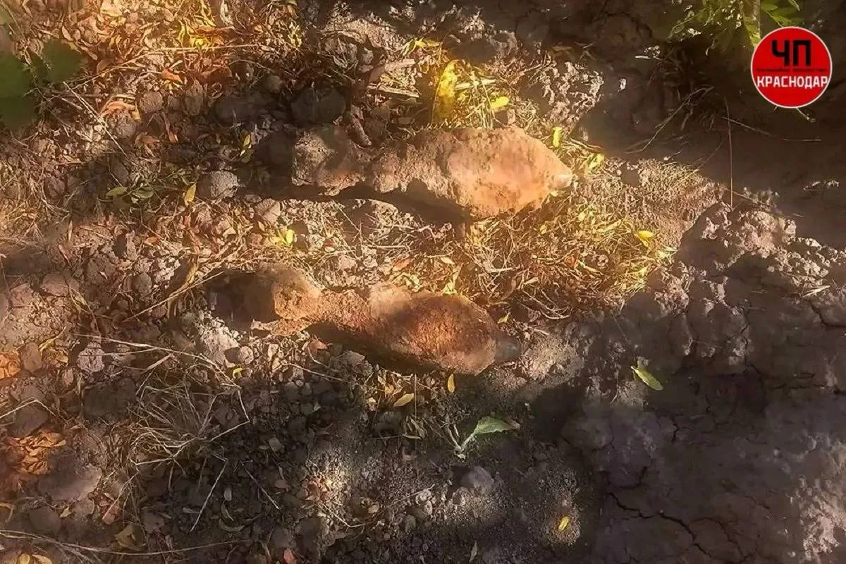 💣 Житель хутора под Анапой нашел в своем огороде минометные мины времен войны.

Опасная находка жда