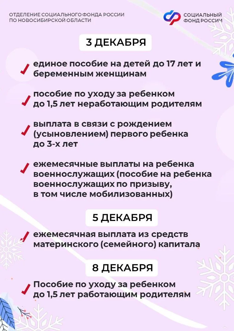 Публикуем для вас график выплат пенсий и пособий в декабре по линии Отделения СФР по Новосибирской о
