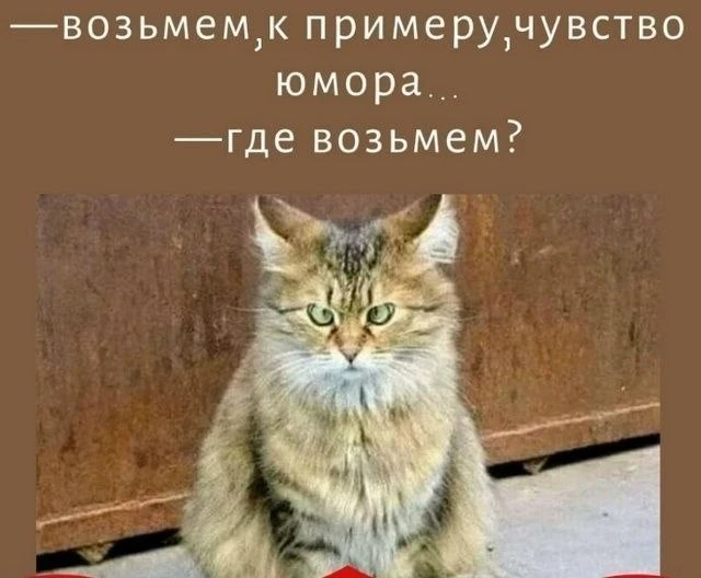 Доброе утро, коллеги! Шутки (как длинные выходные и прочие послабления) кончились. Пора...