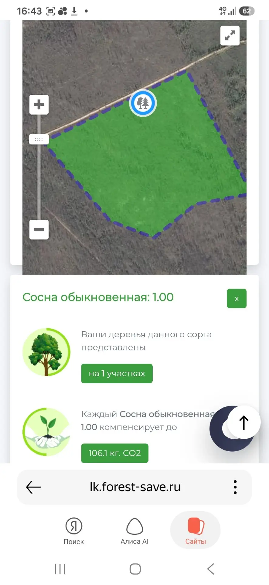 Друзья, теперь у меня есть свое дерево в Национальном парке "Мещерский"(Рязанская облас...