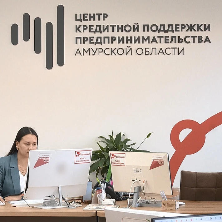 Льготное кредитование по нацпроекту стало еще выгоднее для амурских предпринимателей
