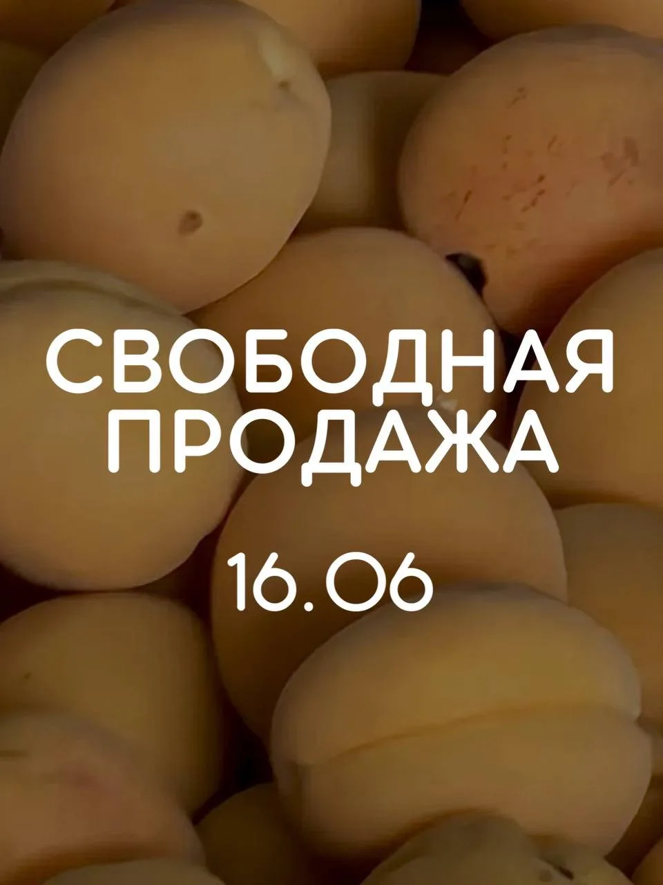 🍑 СВОБОДНАЯ ПРОДАЖА АБРИКОСОВ - СЕГОДНЯ, 16.06 🍑

Ждем вас сегодня на свободную продажу свежих абр