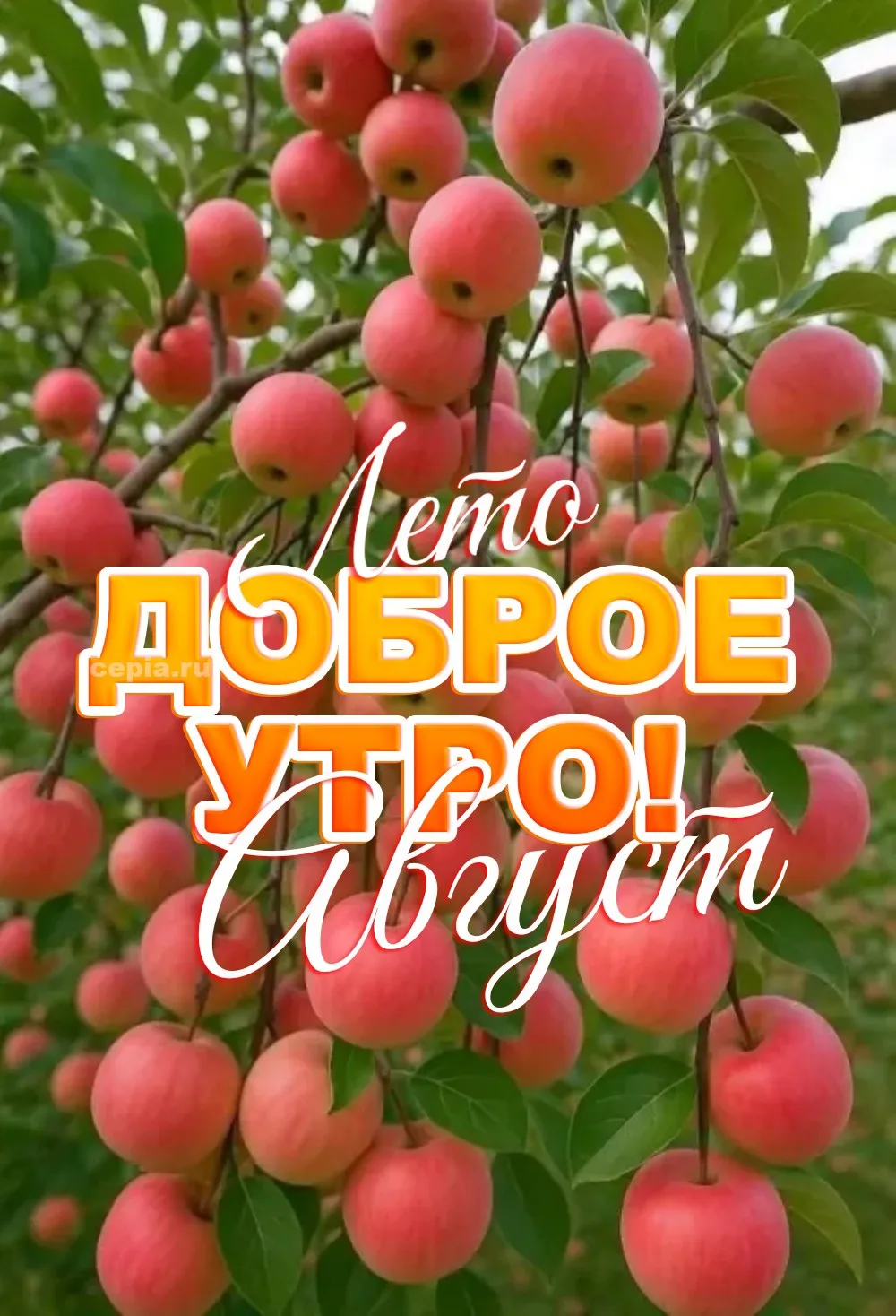 Доброе утро! Пусть новый день принесет вдохновение, радость и удачу во всем!