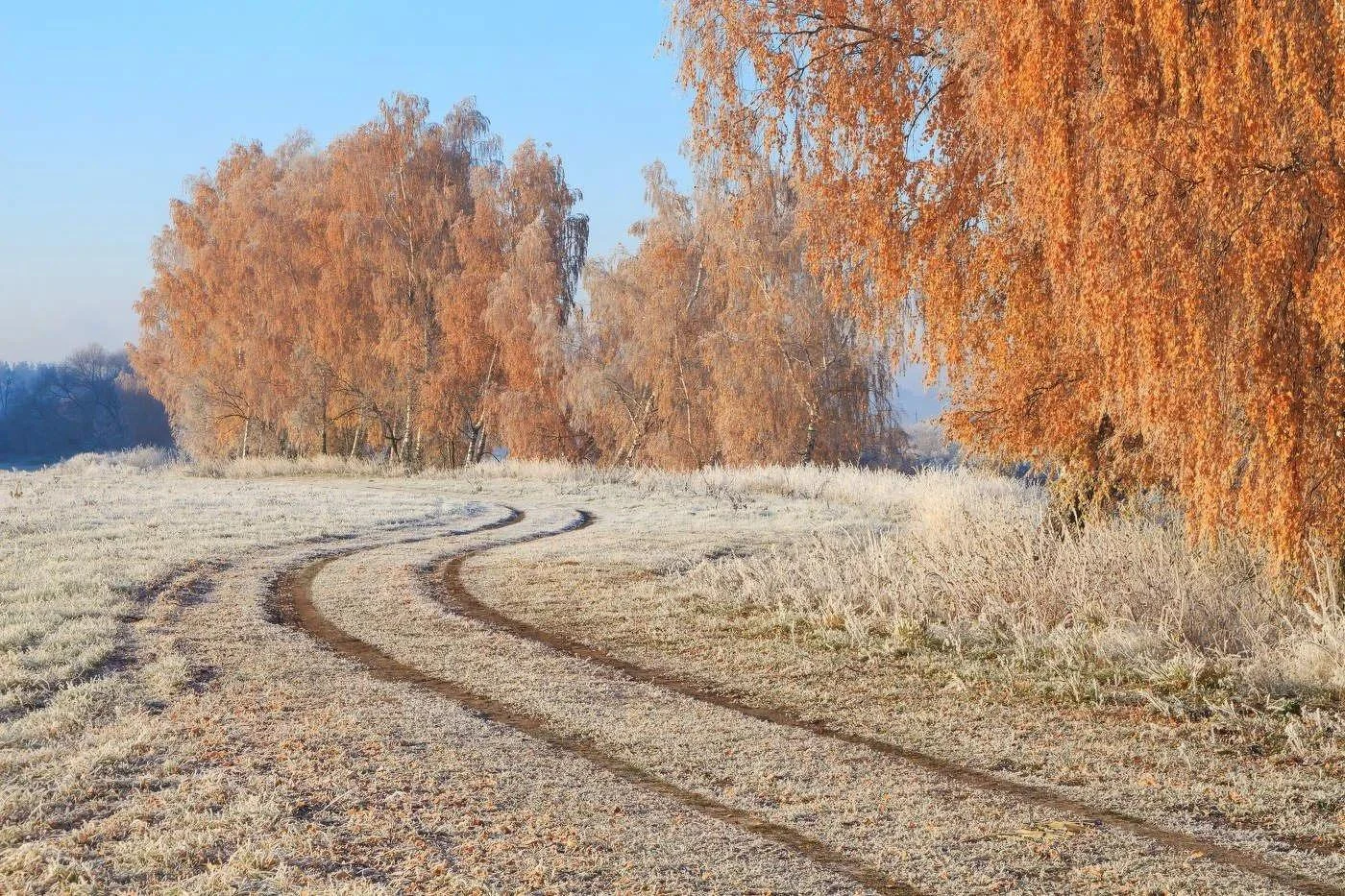 🥶 Завтра в Татарстане прогнозируют заморозки до –2 °C