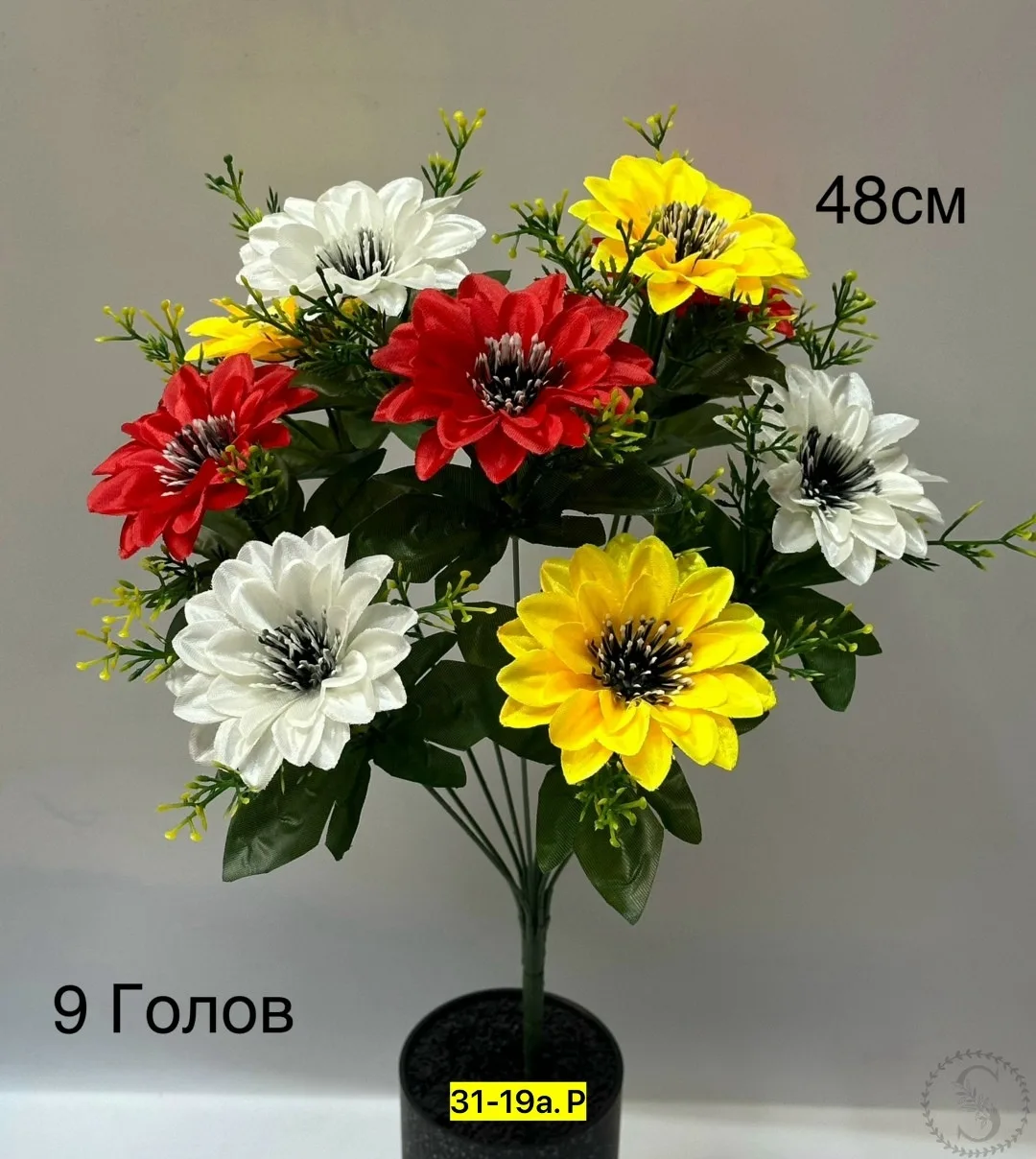 https://vk.com/photo-184814919_493512186