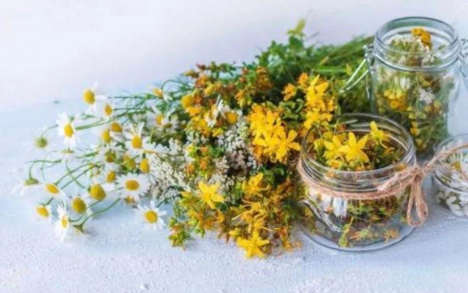 🌿 ПОЧЕМУ Я ЗА ТРАВЯНЫЕ НАСТОИ

Они мягко очищают сосуды, улучшают кровоток и убирают неприятные вещ