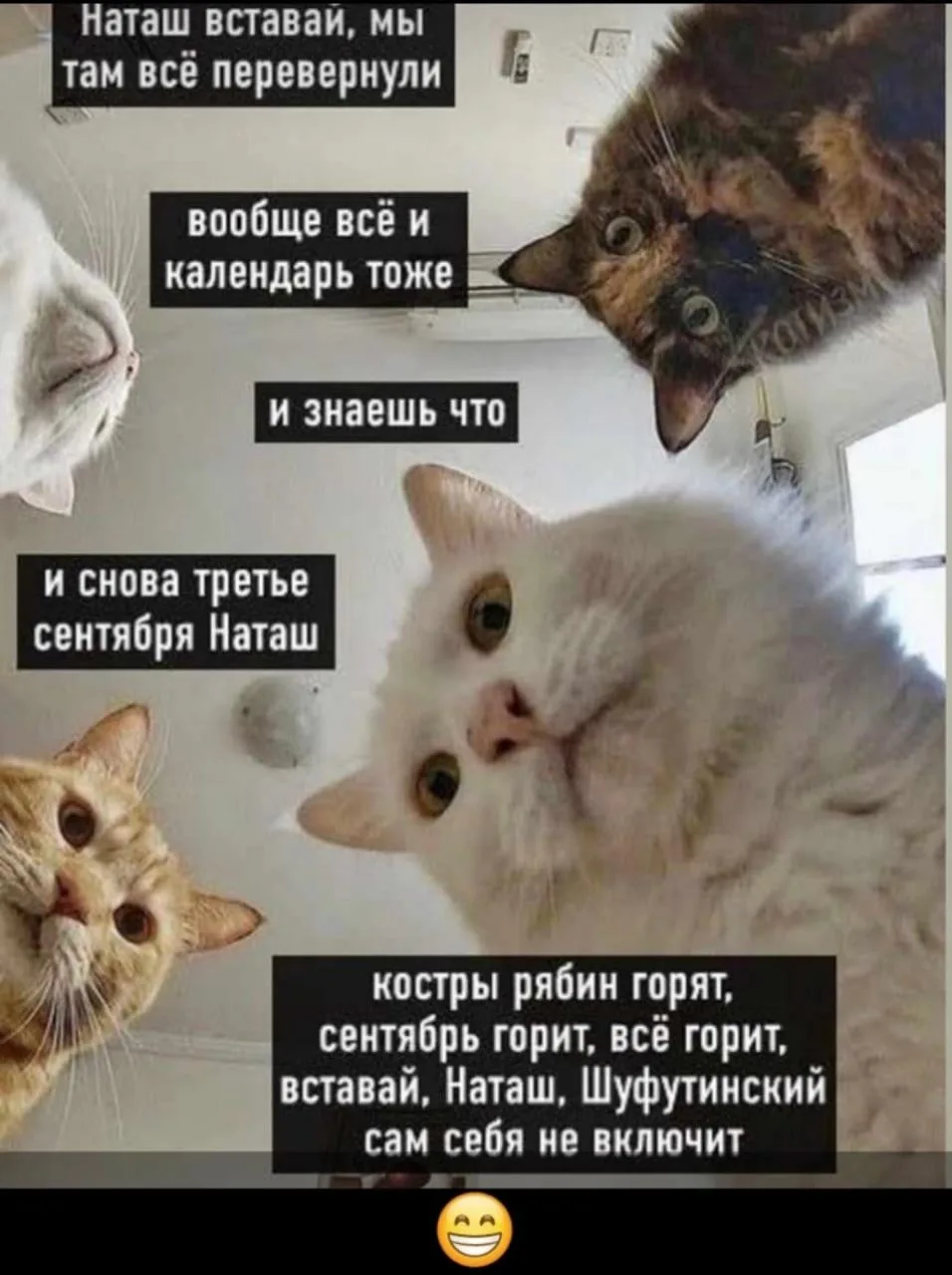 Люблю этот объединяющий всех нас день)))