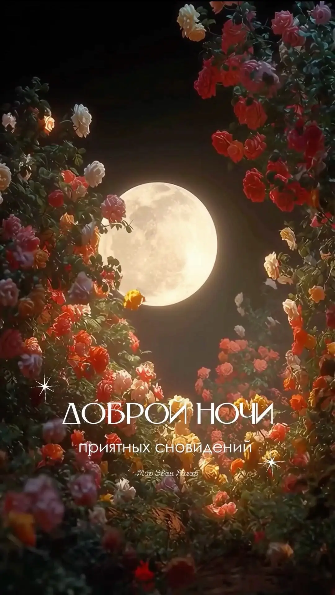 Открытки для улыбки 💌  Подписаться