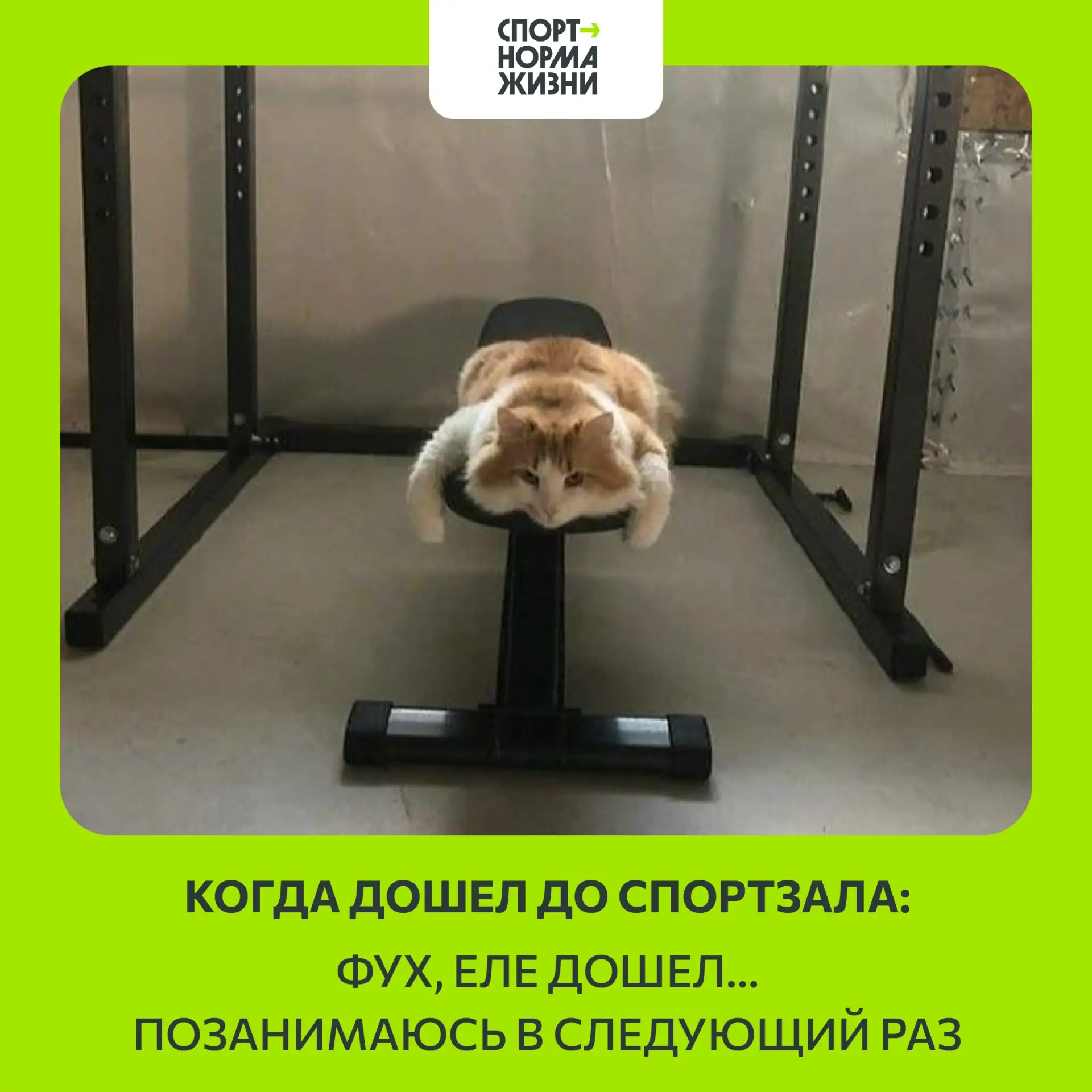 Врываемся в рабочую неделю с нашей традиционной рубрикой - мемом дня! Желаем всем продуктивного поне