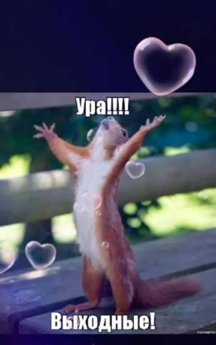 Доброе утро, школа! 🎉