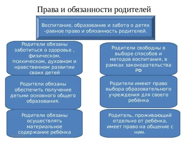 Продолжаем неделю правовой помощи! 📹