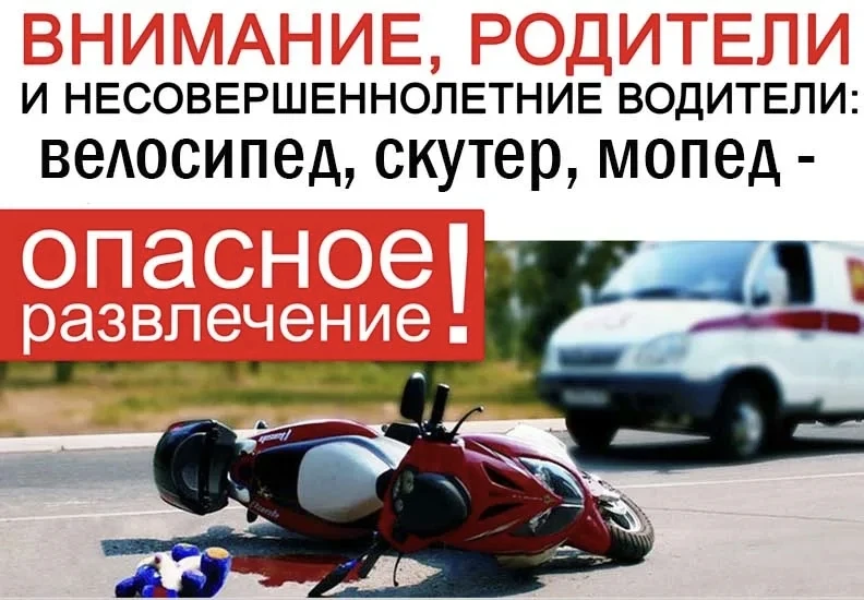 🧍🚴🚘 Дорога – это место, где встречаются все: водители, пассажиры, пешеходы, велосипе...