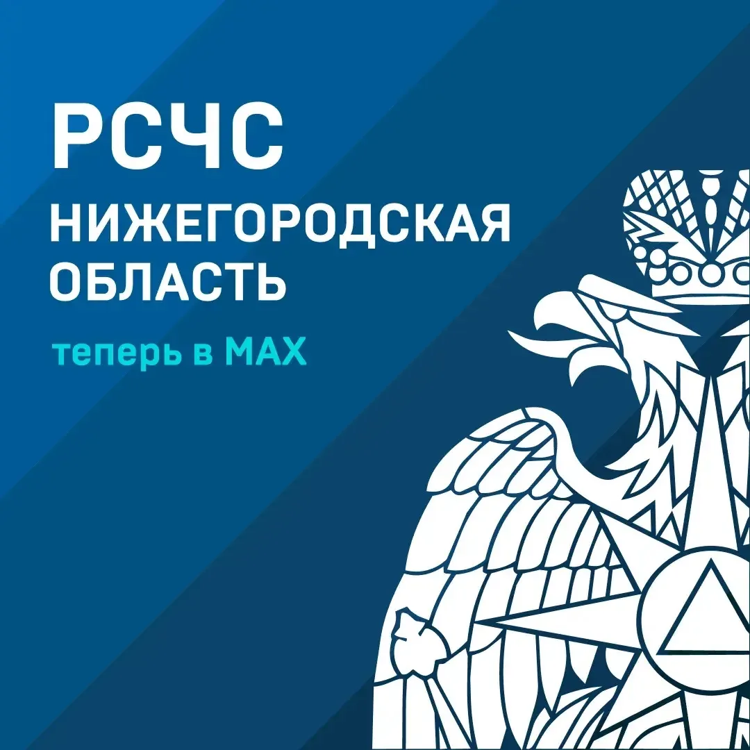 🚨 «РСЧС Нижегородская область» — в МАКС.
