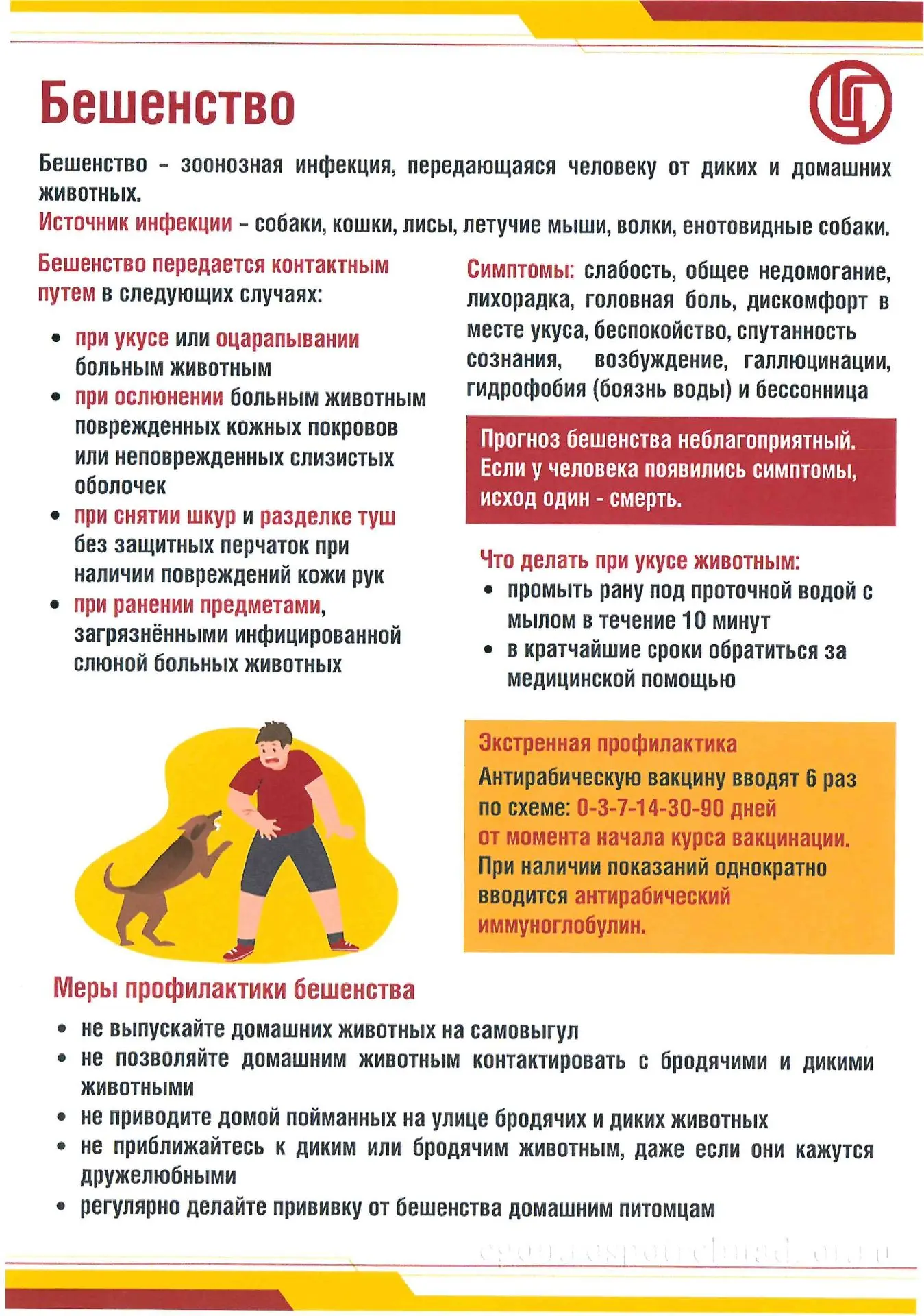 Бешенство представляет собой неизлечимое, острое инфекционное заболевание,  смертельно  опасное  как