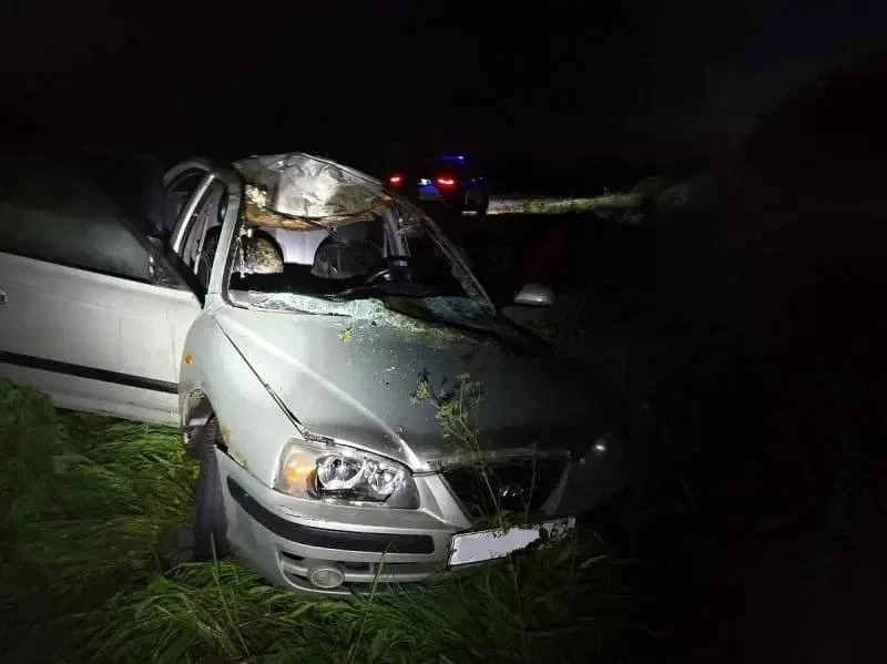 ⚡️17-летний водитель попал в больницу после ДТП с лосем в Смоленской области