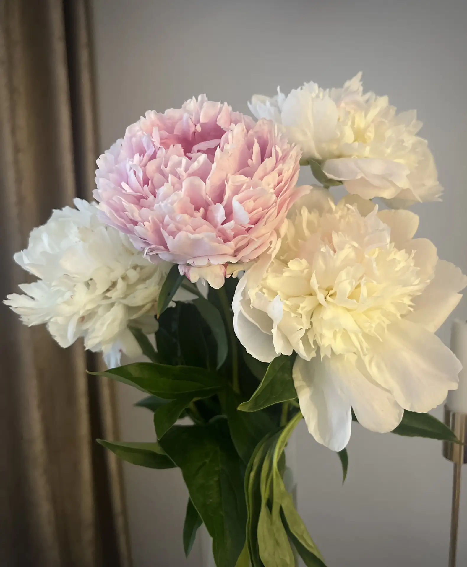 Девочки, доброго утра ☀️

Пятница - день Венеры🌸

Какой аромат от пионов 😍

Г.💋