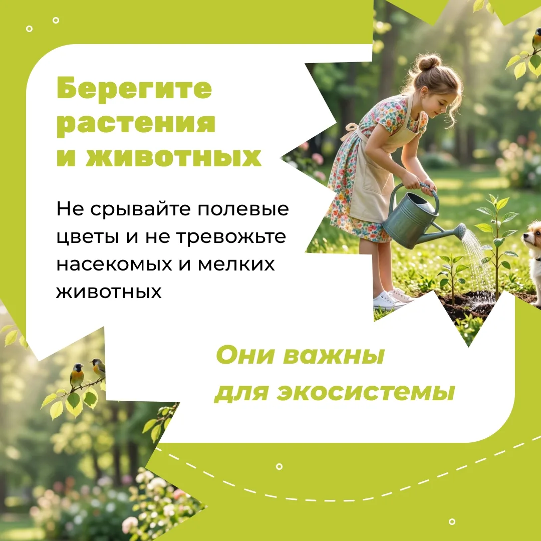Лето — идеальное время для того, чтобы сделать заботу об окружающей среде частью повседневной жизни.